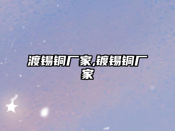 渡錫銅廠家,鍍錫銅廠家