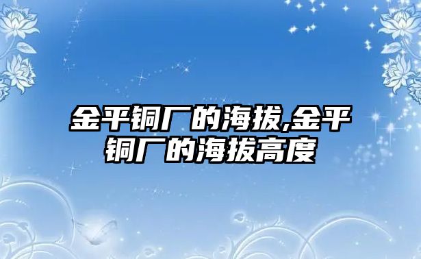 金平銅廠的海拔,金平銅廠的海拔高度