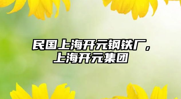 民國上海開元鋼鐵廠,上海開元集團(tuán)