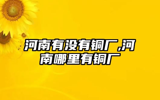 河南有沒有銅廠,河南哪里有銅廠