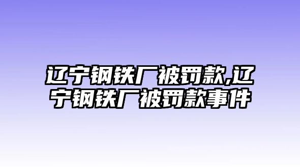 遼寧鋼鐵廠被罰款,遼寧鋼鐵廠被罰款事件