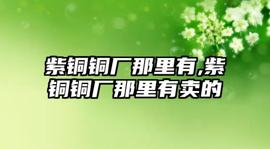 紫銅銅廠那里有,紫銅銅廠那里有賣的