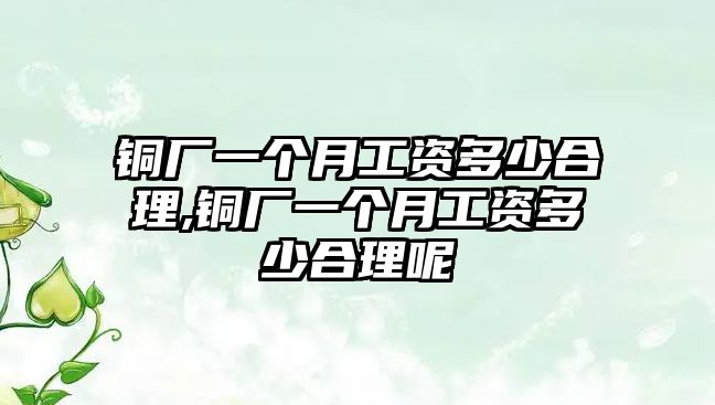 銅廠一個(gè)月工資多少合理,銅廠一個(gè)月工資多少合理呢