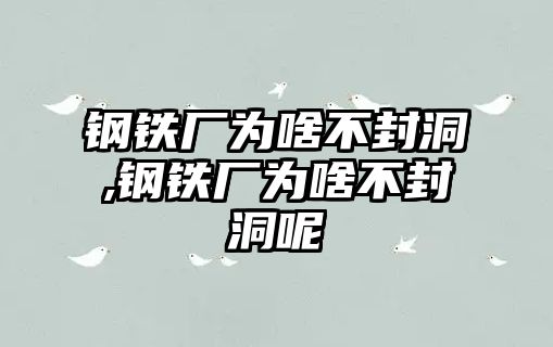 鋼鐵廠為啥不封洞,鋼鐵廠為啥不封洞呢