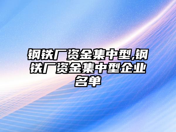 鋼鐵廠資金集中型,鋼鐵廠資金集中型企業(yè)名單