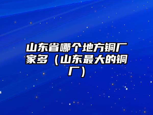 山東省哪個(gè)地方銅廠家多（山東最大的銅廠）