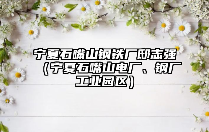 寧夏石嘴山鋼鐵廠邸志強(qiáng)（寧夏石嘴山電廠、鋼廠工業(yè)園區(qū)）