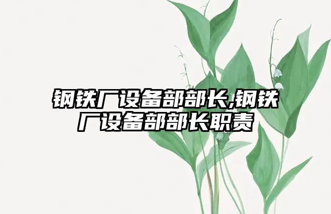 鋼鐵廠設(shè)備部部長(zhǎng),鋼鐵廠設(shè)備部部長(zhǎng)職責(zé)