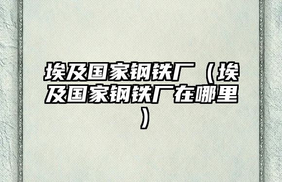 埃及國(guó)家鋼鐵廠（埃及國(guó)家鋼鐵廠在哪里）