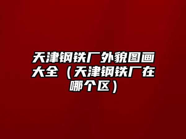 天津鋼鐵廠外貌圖畫大全（天津鋼鐵廠在哪個區(qū)）