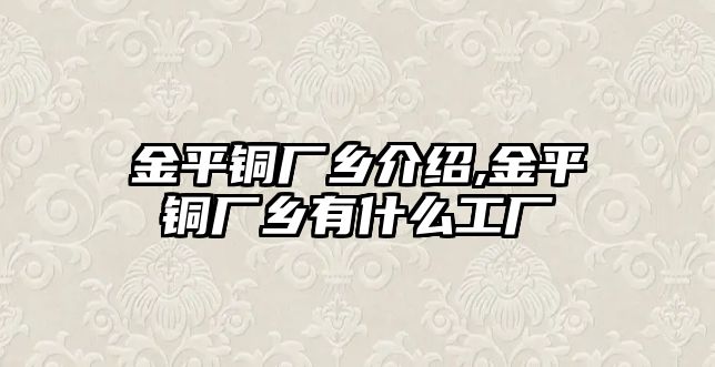 金平銅廠鄉(xiāng)介紹,金平銅廠鄉(xiāng)有什么工廠