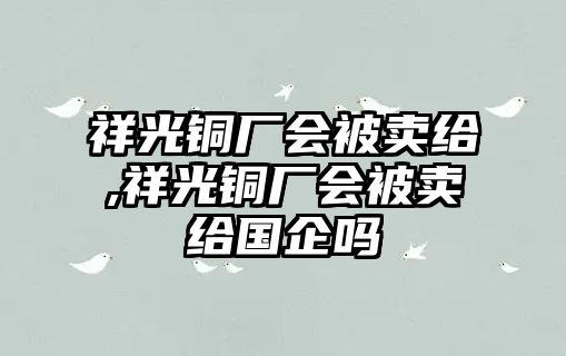 祥光銅廠會被賣給,祥光銅廠會被賣給國企嗎