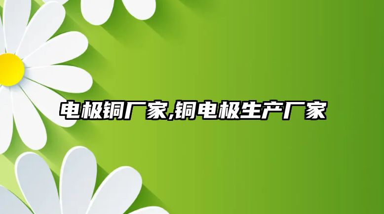 電極銅廠家,銅電極生產(chǎn)廠家