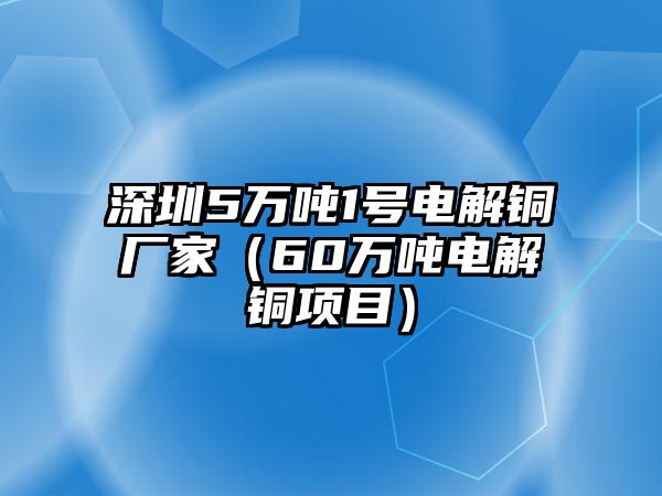 深圳5萬噸1號電解銅廠家（60萬噸電解銅項目）