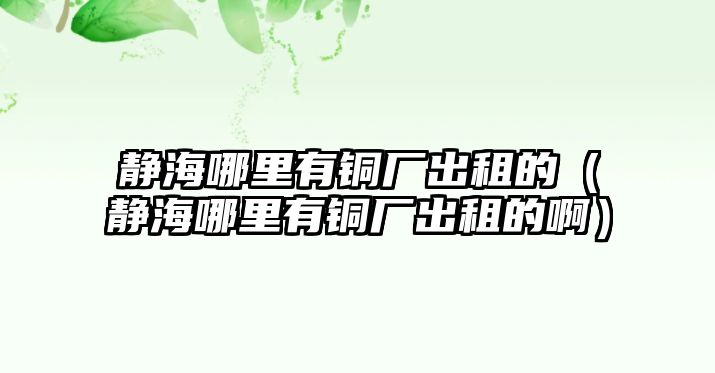 靜海哪里有銅廠出租的（靜海哪里有銅廠出租的啊）