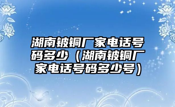 湖南鈹銅廠家電話號碼多少（湖南鈹銅廠家電話號碼多少號）