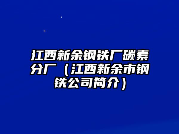 江西新余鋼鐵廠碳素分廠（江西新余市鋼鐵公司簡(jiǎn)介）