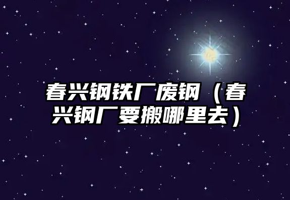 春興鋼鐵廠廢鋼（春興鋼廠要搬哪里去）