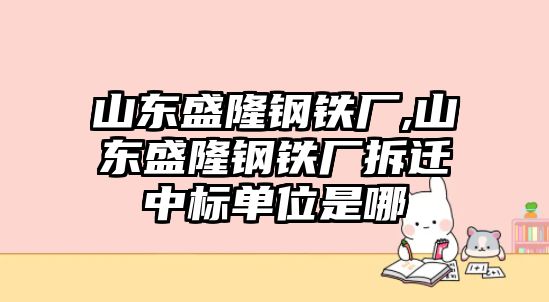 山東盛隆鋼鐵廠,山東盛隆鋼鐵廠拆遷中標(biāo)單位是哪