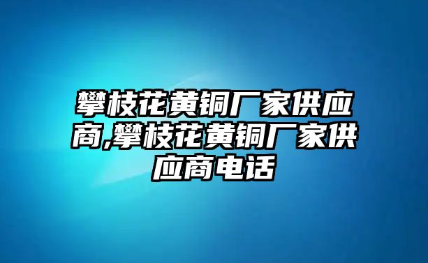 攀枝花黃銅廠家供應(yīng)商,攀枝花黃銅廠家供應(yīng)商電話