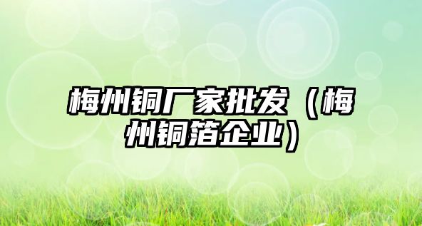 梅州銅廠家批發(fā)（梅州銅箔企業(yè)）