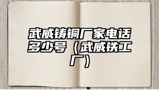 武威鑄銅廠家電話多少號（武威鐵工廠）