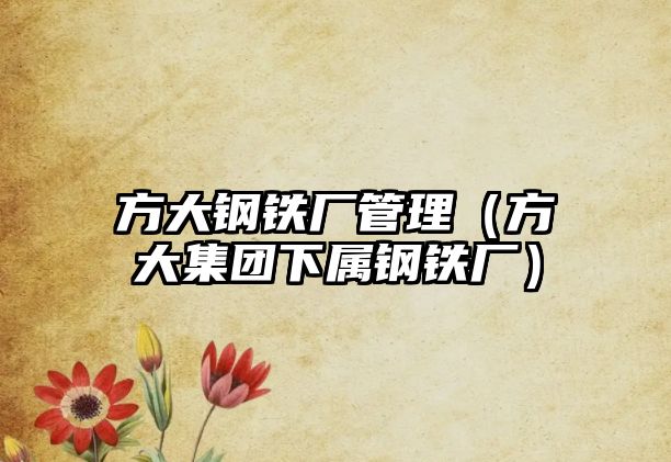 方大鋼鐵廠管理（方大集團下屬鋼鐵廠）