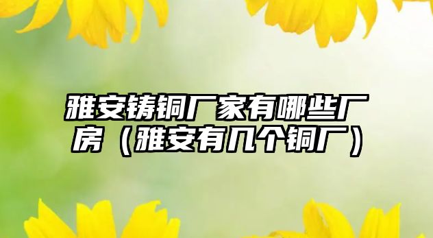 雅安鑄銅廠家有哪些廠房（雅安有幾個銅廠）