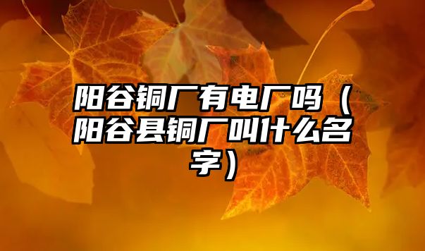 陽(yáng)谷銅廠(chǎng)有電廠(chǎng)嗎（陽(yáng)谷縣銅廠(chǎng)叫什么名字）