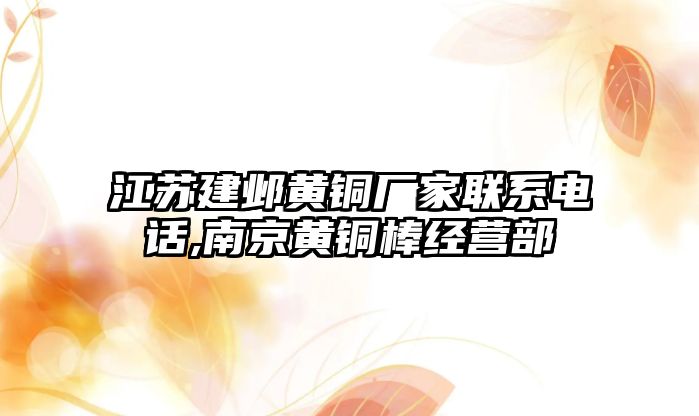 江蘇建鄴黃銅廠家聯(lián)系電話,南京黃銅棒經(jīng)營部