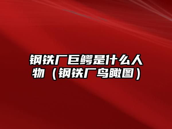 鋼鐵廠巨鱷是什么人物（鋼鐵廠鳥瞰圖）