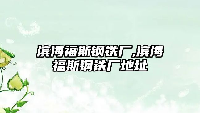 濱海福斯鋼鐵廠,濱海福斯鋼鐵廠地址