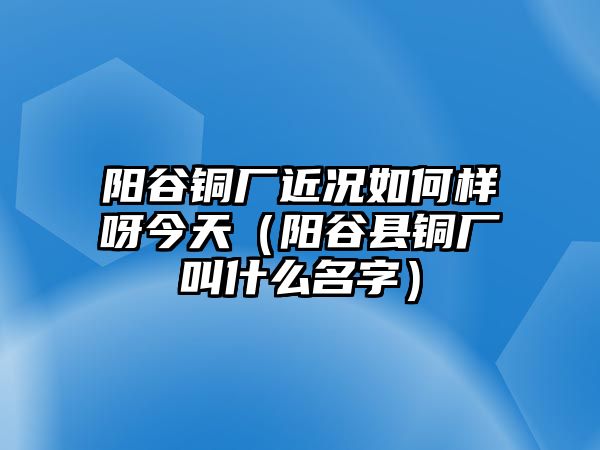 陽谷銅廠近況如何樣呀今天（陽谷縣銅廠叫什么名字）