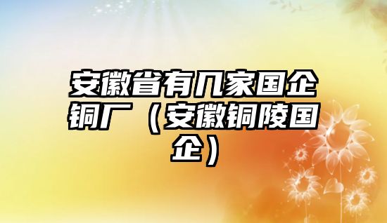 安徽省有幾家國企銅廠（安徽銅陵國企）