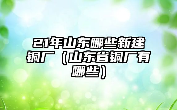 21年山東哪些新建銅廠（山東省銅廠有哪些）