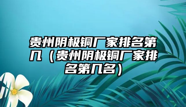 貴州陰極銅廠家排名第幾（貴州陰極銅廠家排名第幾名）