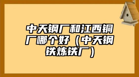 中天鋼廠和江西銅廠哪個(gè)好（中天鋼鐵煉鐵廠）