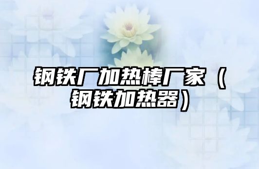 鋼鐵廠加熱棒廠家（鋼鐵加熱器）