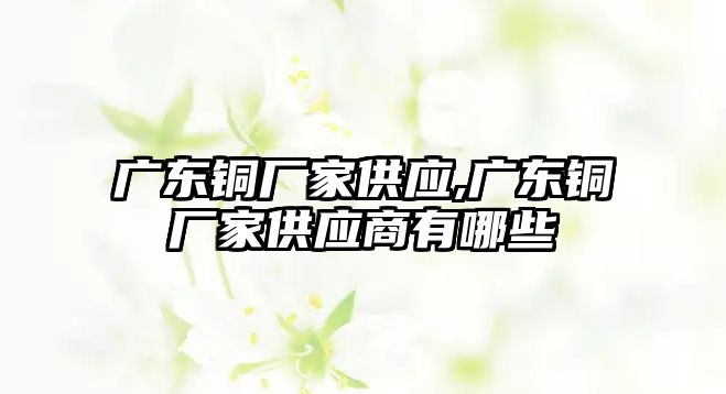 廣東銅廠家供應(yīng),廣東銅廠家供應(yīng)商有哪些