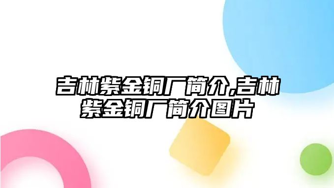 吉林紫金銅廠簡(jiǎn)介,吉林紫金銅廠簡(jiǎn)介圖片