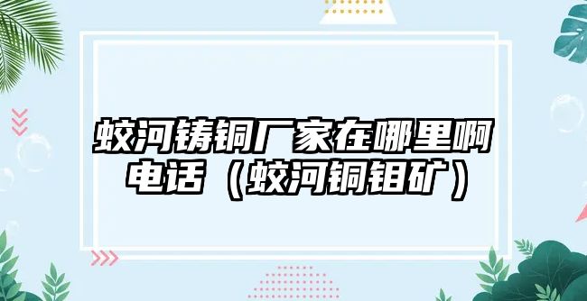 蛟河鑄銅廠家在哪里啊電話（蛟河銅鉬礦）