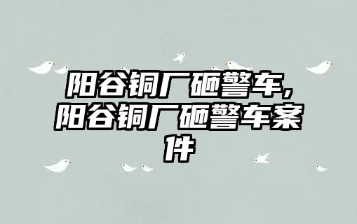 陽谷銅廠砸警車,陽谷銅廠砸警車案件