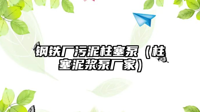 鋼鐵廠污泥柱塞泵（柱塞泥漿泵廠家）