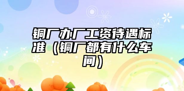 銅廠辦廠工資待遇標(biāo)準(zhǔn)（銅廠都有什么車間）