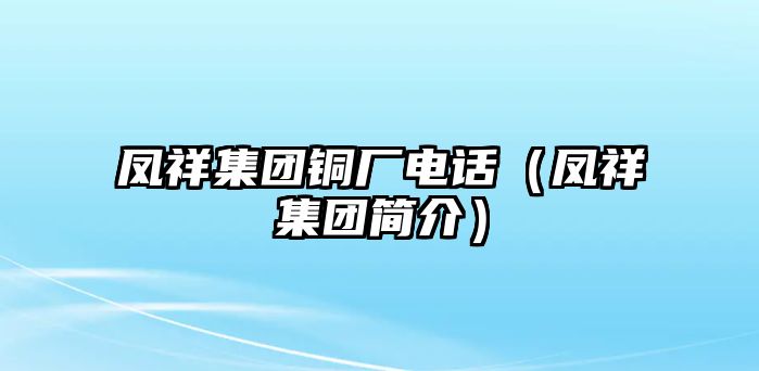 鳳祥集團(tuán)銅廠電話（鳳祥集團(tuán)簡(jiǎn)介）