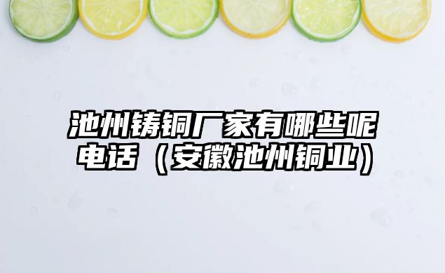 池州鑄銅廠家有哪些呢電話（安徽池州銅業(yè)）