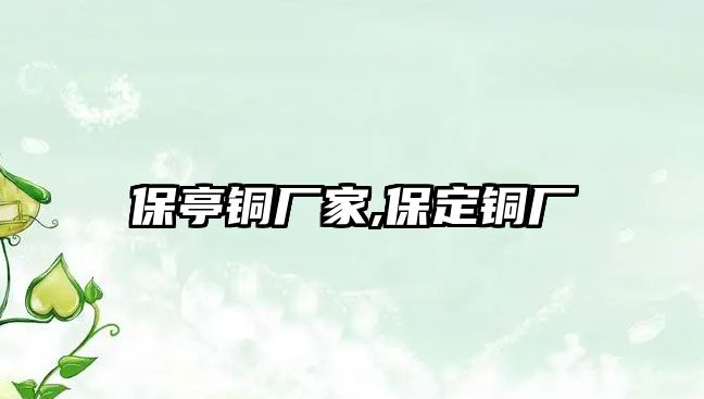 保亭銅廠家,保定銅廠