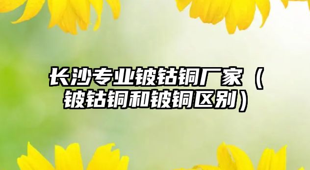 長沙專業(yè)鈹鈷銅廠家（鈹鈷銅和鈹銅區(qū)別）