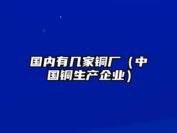 國(guó)內(nèi)有幾家銅廠（中國(guó)銅生產(chǎn)企業(yè)）