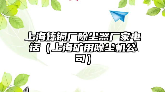 上海煉銅廠除塵器廠家電話（上海礦用除塵機公司）